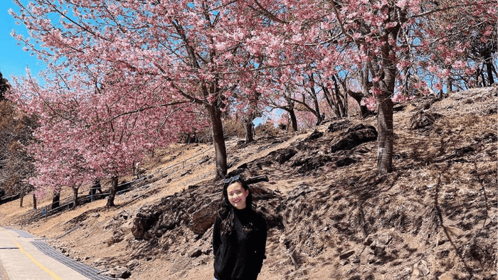 Taiwan Spring Travel Tips