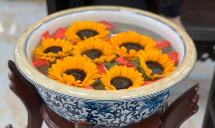 Sử dụng để tưới cây phong thủy