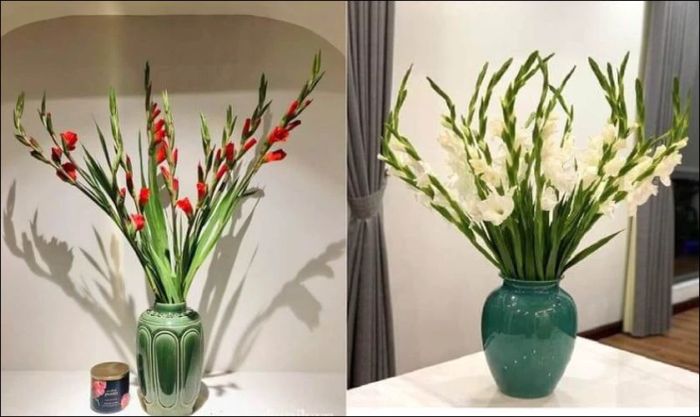 Cắm hoa dơn với bình thấp đơn giản mà đẹp mắt