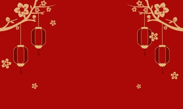 Powerpoint Tết 2025 họa tiết hoa mai