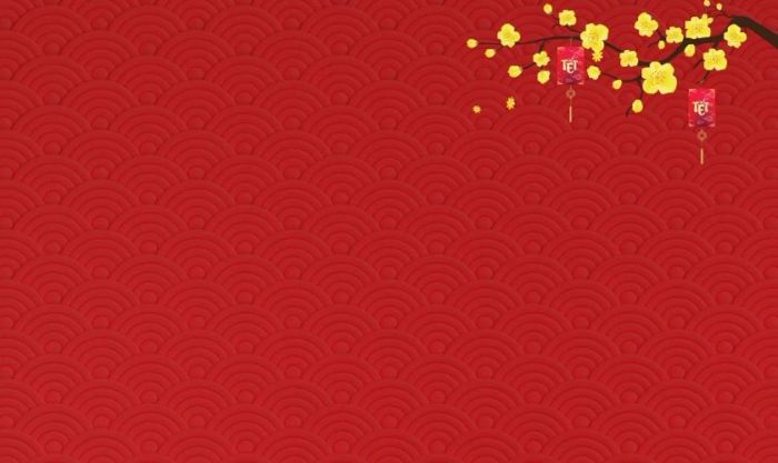 Hình nền PowerPoint Tết chủ đề hoa đặc sắc