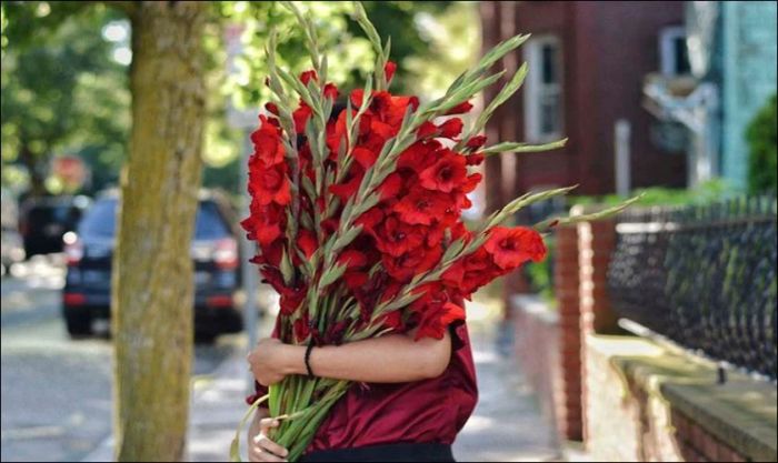 Chọn hoa dơn tươi và chưa nở hết