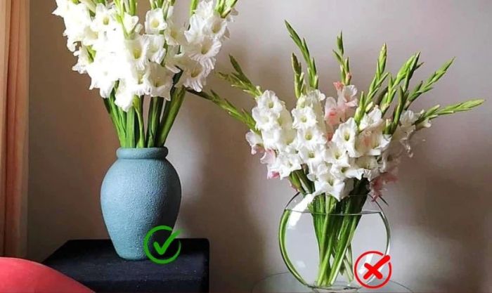 Hướng dẫn cắm hoa dơn ngày Tết đẹp - Lựa chọn bình cắm phù hợp