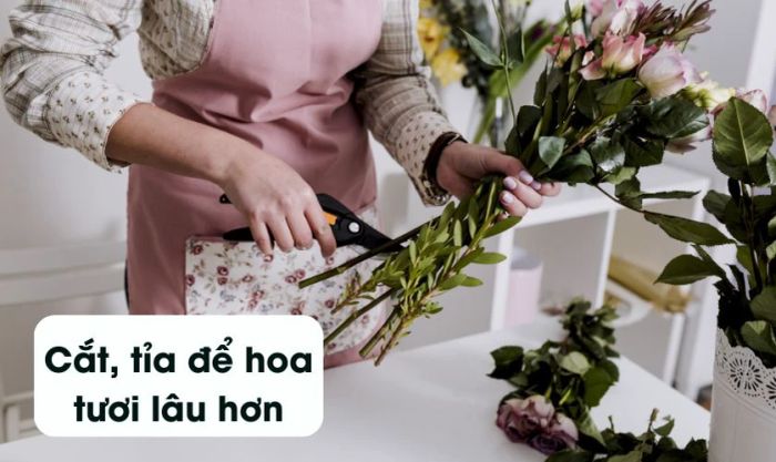 Nguyên tắc cắm hoa cát tường ngày Tết - Cắt tỉa hoa đúng cách