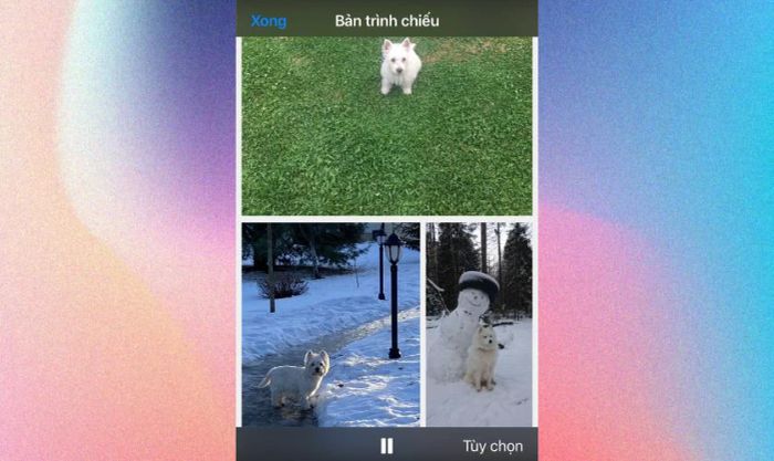 Bố cục của video sau khi hoàn thành sẽ trông như thế này