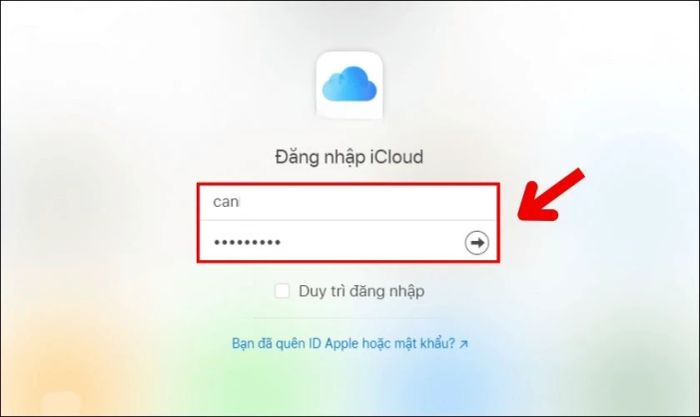 Nhập Apple ID và mật khẩu để đăng nhập trên máy tính