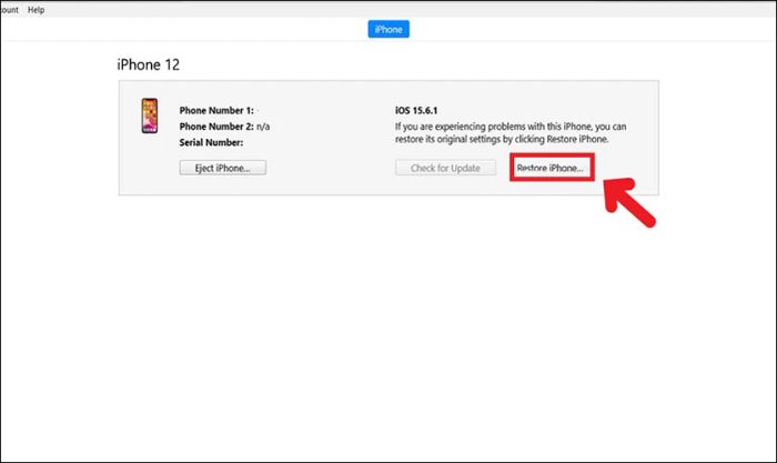 Nhấn vào Restore iPhone để tiếp tục