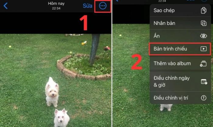 Nhấn vào biểu tượng 3 chấm và chọn Bản trình chiếu
