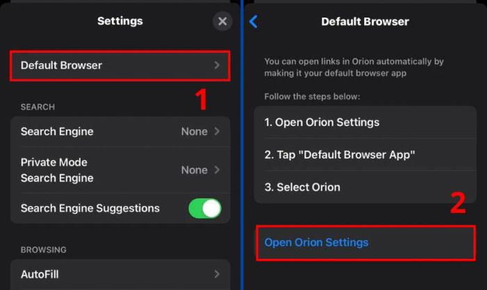 Tiếp theo, bạn hãy chọn mục Default Browser.