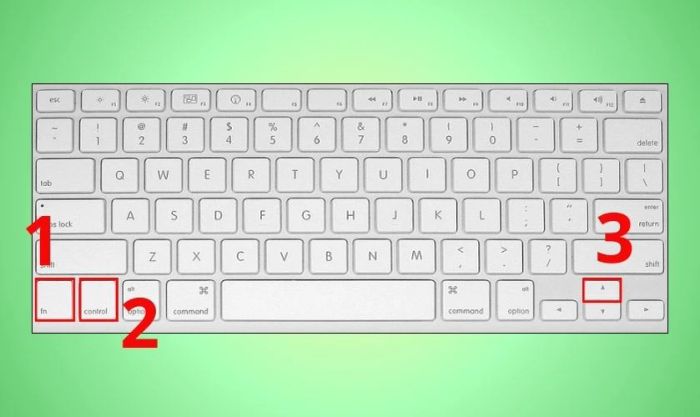 Di chuyển sheet sang trái trên Excel MacOS