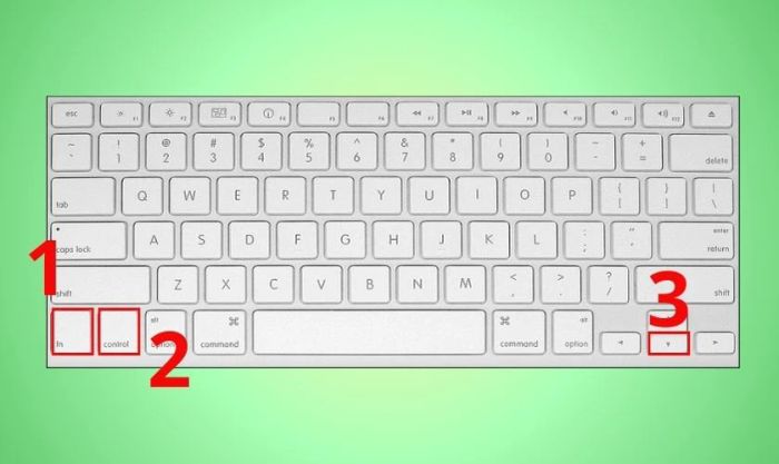 Cách chuyển sheet sang bên phải trên macOS