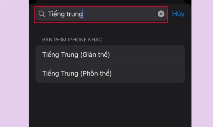 Nhập từ khóa tiếng Trung như hình để hoàn thành việc thiết lập bàn phím tiếng Trung trên iPhone.