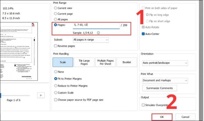 Nhấn vào Page và điền số trang hoặc khoảng trang bạn muốn tách