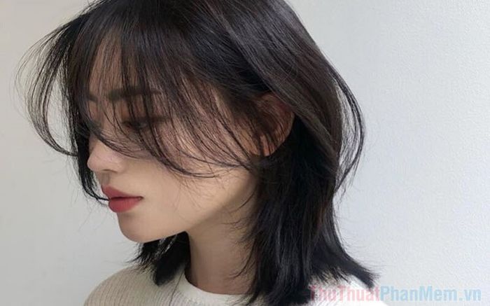 Biểu tượng bông tuyết được sử dụng để trang trí logo