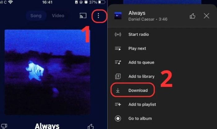 Nhấn vào biểu tượng ba chấm và chọn Download