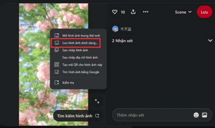 Cách tải và thiết lập hình nền hoa đào ngày Tết cho máy tính