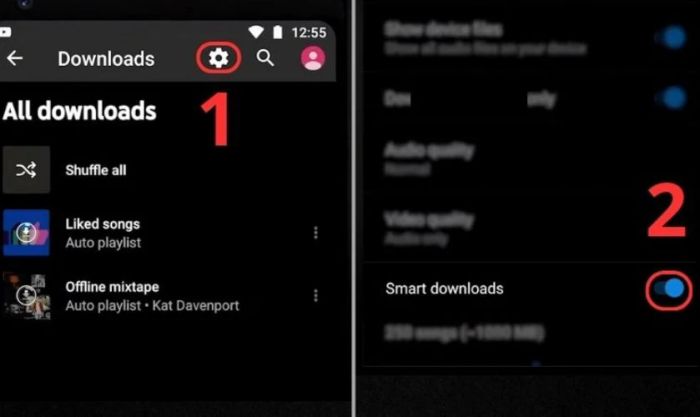 Tại Smart downloads, kéo nút gạt sang phải cho đến khi chuyển sang màu xanh