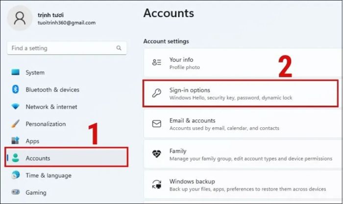 Nhấn chọn mục Account và sau đó chọn Sign-in Options