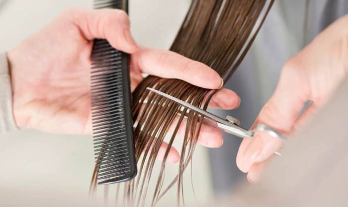 Tránh cắt tóc vào đầu năm