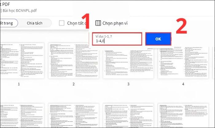 Nhập số trang hoặc khoảng trang cần tách và nhấn OK