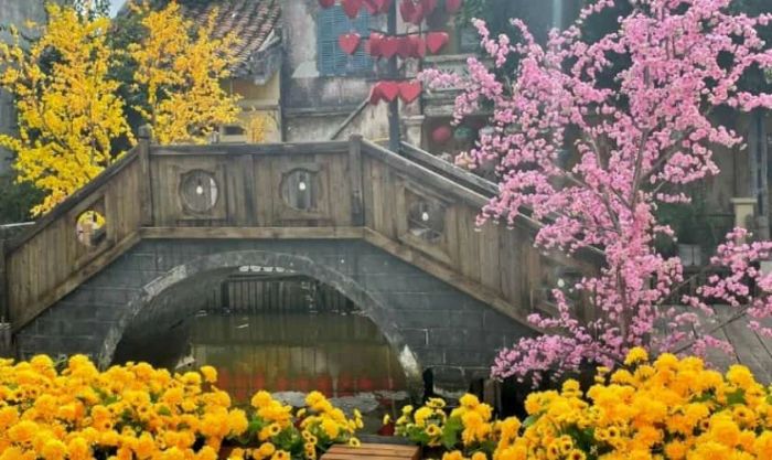 Hình nền hoa đào ngày Tết cùng hoa mai đẹp mắt
