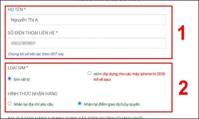 Chọn loại SIM và cách thức nhận hàng