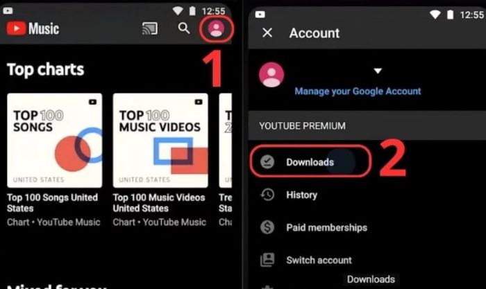 Mở hồ sơ cá nhân và chọn mục Download