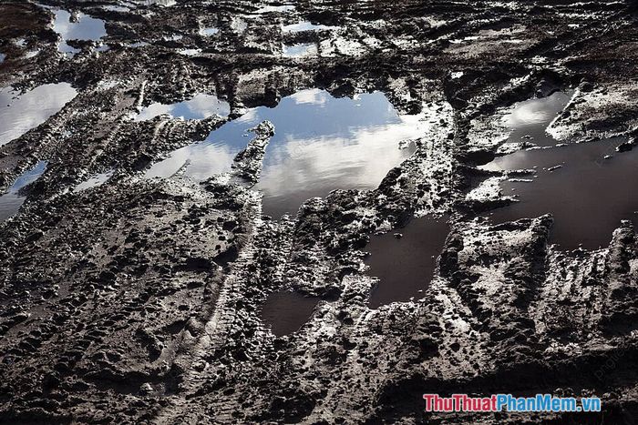 Guitar Passion Image 1