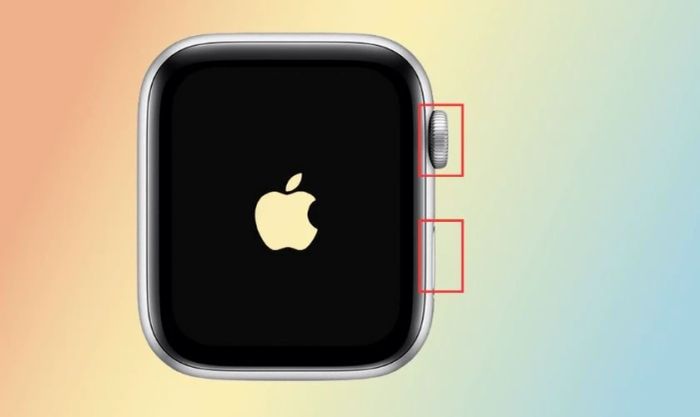 Nhấn và giữ đồng thời nút Digital Crown và nút bên cạnh cho đến khi logo Apple hiện lên