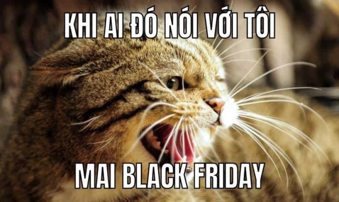 Meme Black Friday độc đáo, thú vị