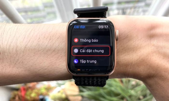 Truy cập vào Cài đặt chung trong phần Cài đặt