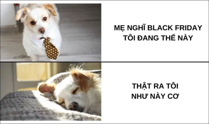 Meme Black Friday cực hot