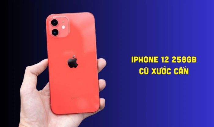 iPhone 12 256GB
