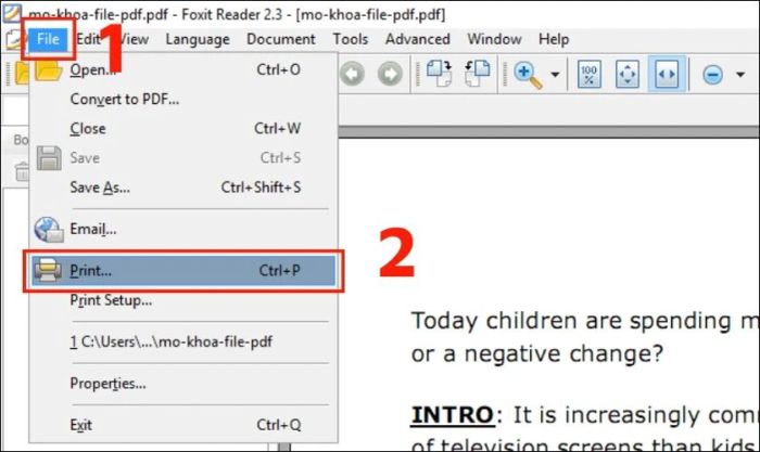 Chọn File và sau đó nhấn Print
