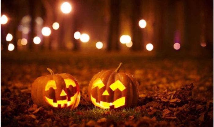 Những lời chúc Halloween ý nghĩa kèm quà tặng