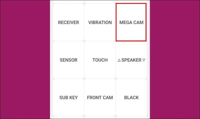 Chọn Mega Camera để kiểm tra chức năng của camera chính