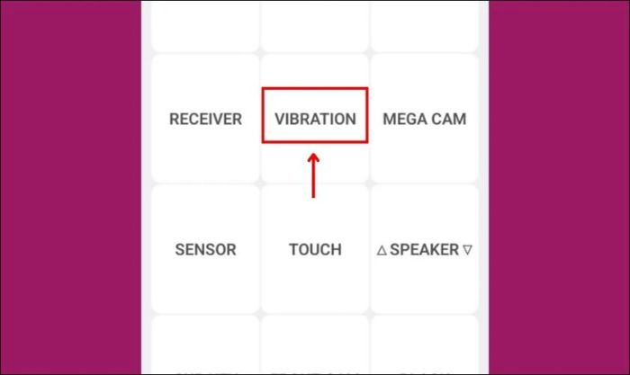 Chọn Vibration để kiểm tra chức năng rung trên điện thoại Samsung cũ