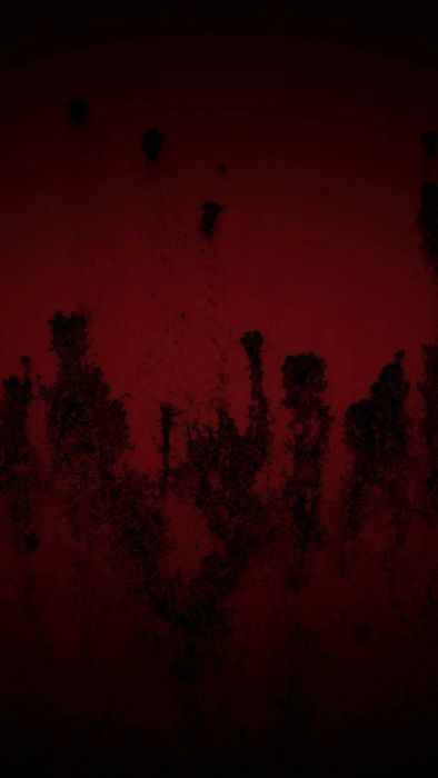 Hình nền Halloween cho điện thoại tông đỏ với vẻ đáng sợ