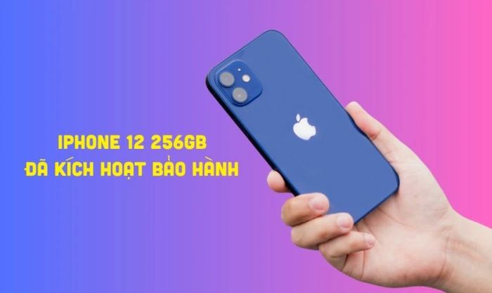 iPhone 12 256GB Chính hãng