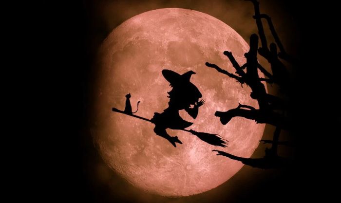 Hình nền Halloween cho máy tính với chủ đề phù thủy