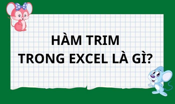 Hàm TRIM trong Excel là gì? 