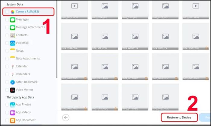 Chọn Camera Roll để khôi phục ảnh đã xóa trên iPhone