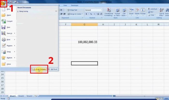 Hướng dẫn chuyển đổi dấu phẩy thành dấu chấm trong Excel 2010, 2007