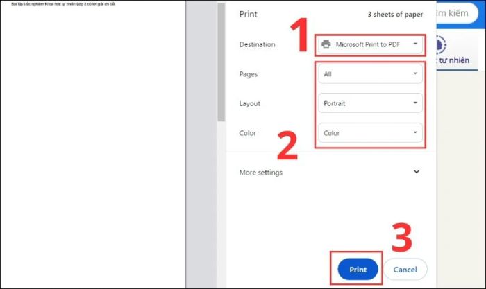 Hướng dẫn in file PDF từ bất kỳ trình duyệt nào