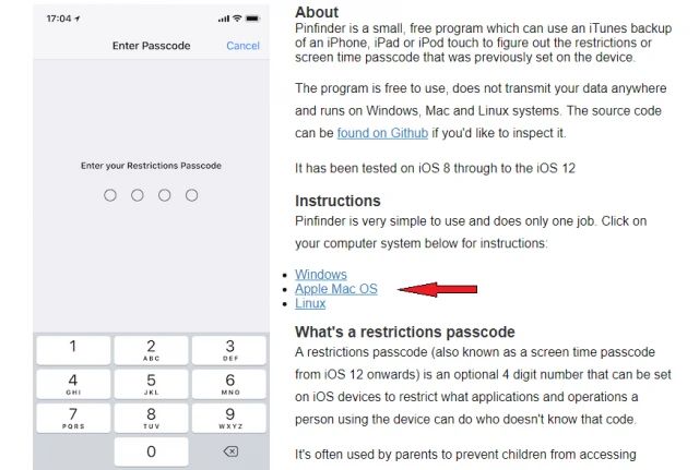Cài đặt Pinfinder để lấy lại mật khẩu giới hạn cho iOS 12
