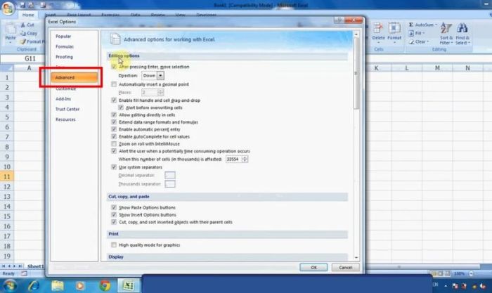 Khắc phục lỗi gõ dấu chấm thành dấu phẩy trong Excel 2010, 2007