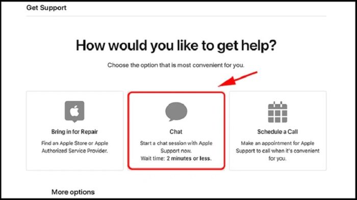 Chọn chat để bắt đầu trò chuyện với nhân viên hỗ trợ của Apple
