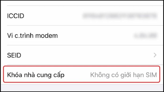 Cách kiểm tra iPhone lock qua khóa nhà cung cấp
