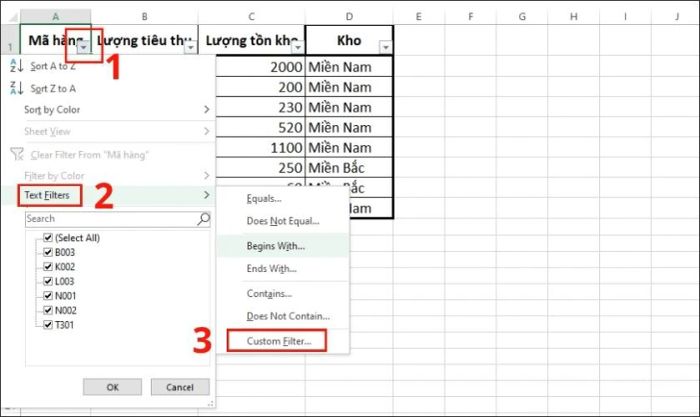 Hướng dẫn cách lọc dữ liệu cho cột có hai điều kiện