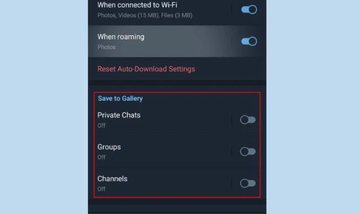 Tại mục Save to Gallery, chuyển tất cả thanh trượt sang bên phải để kích hoạt tải video Telegram